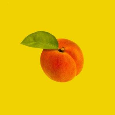 APRICOT SCRUB 200300