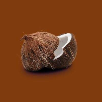 COCONUT EXFOLIATOR 500