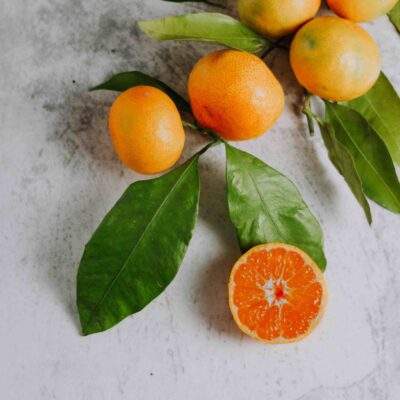 Mandarin scaled