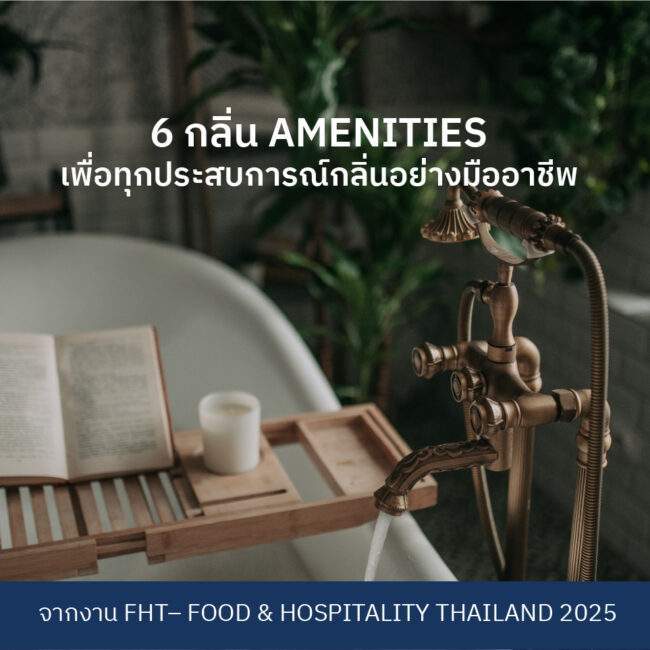 Aminity 01