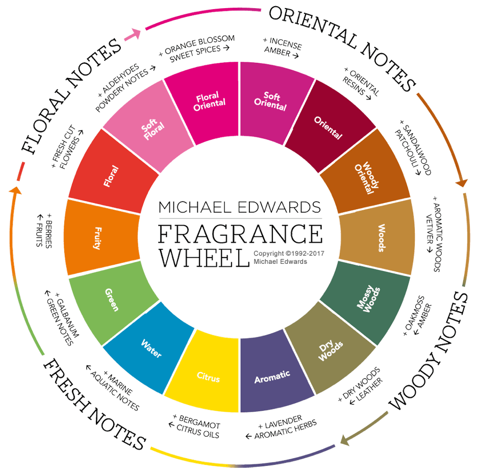 ทำความเข้าใจน้ำหอมกลิ่นต่างๆ ด้วย Fragrance Wheel พร้อมแนะนำ 5 แบรนด์น้ำหอมคลาสสิก